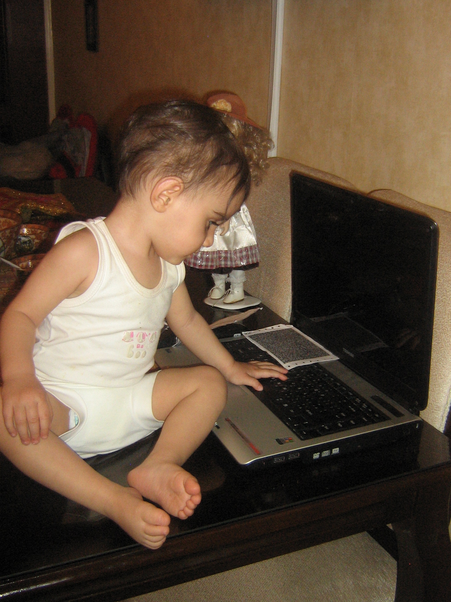 ویانا با لپ تاپ